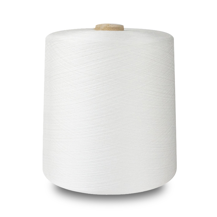 1596437466746868.jpg polyester yarn (65).jpg