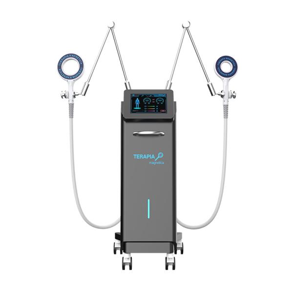 TERAPIA Electromagnetic Transduction Body Therapy Magnetic Two Handles Simultaneously Work Mt-687