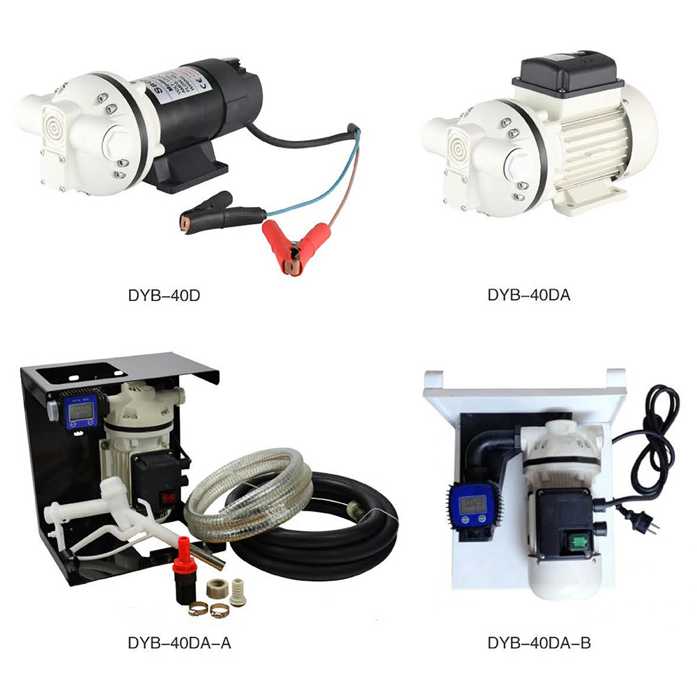 DYB-40D,DYB-40DA,DYB-40DA-A,DYB-40DA-B-Electric Diaphragm Pump