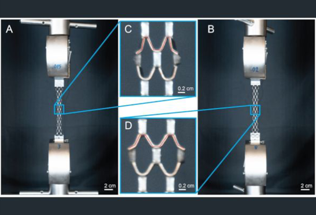 Future Glass Architecture: How Advanced Interlayer Technology Is Transforming Sustainable Glass Structures