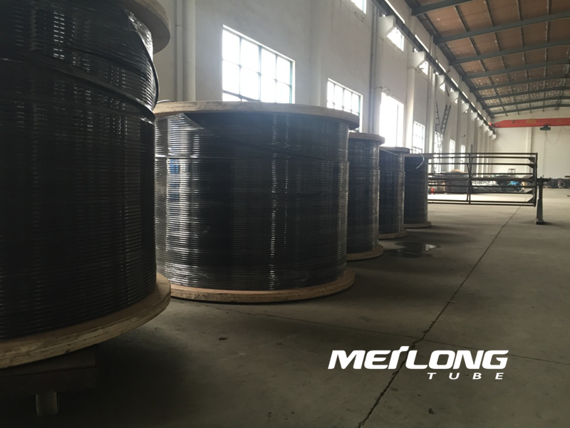 Encapsulated Control Line Tubing