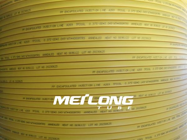 TPV Encapsulated Duplex Stainless Steel Control Line